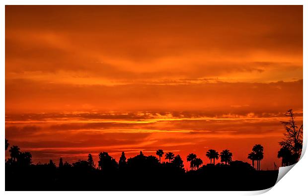 Marrakesh Sunset Print by Peta Thames