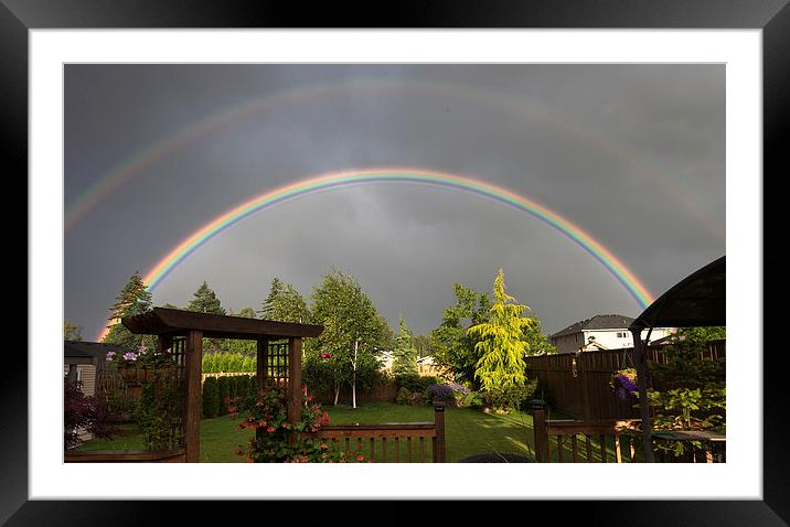  Double rainbow over garden Framed Mounted Print by Leighton Collins