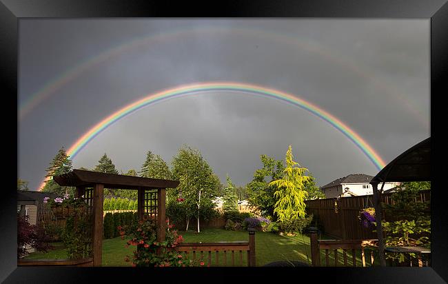  Double rainbow over garden Framed Print by Leighton Collins
