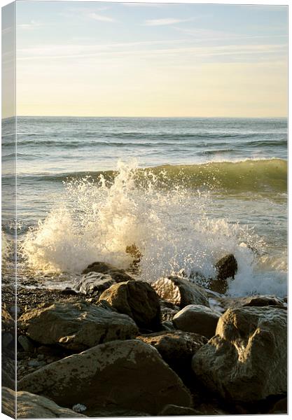  Breaking Waves Canvas Print by graham young