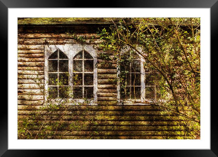  Overgrown windows Framed Mounted Print by David Hare