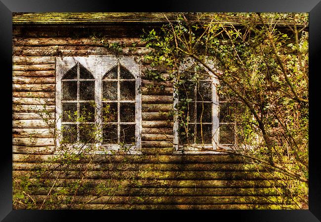  Overgrown windows Framed Print by David Hare