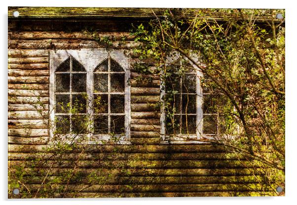  Overgrown windows Acrylic by David Hare