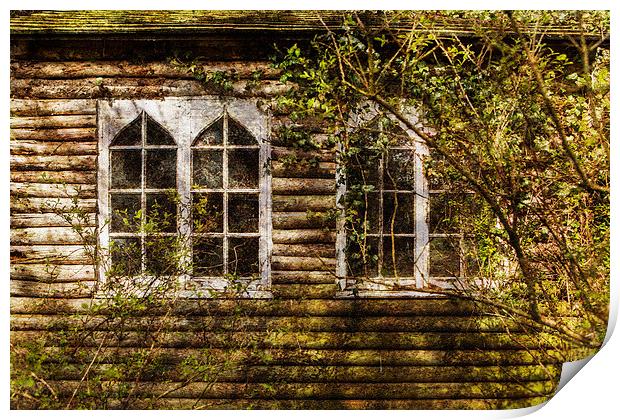  Overgrown windows Print by David Hare