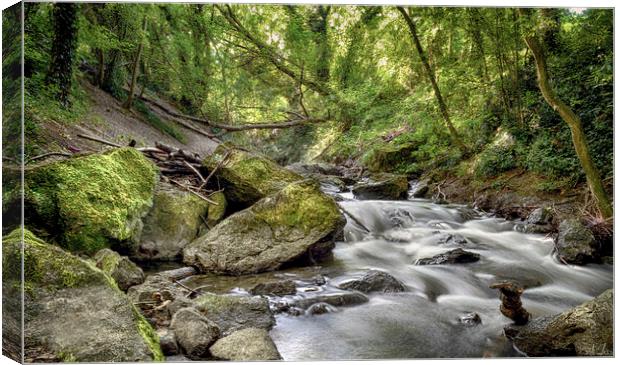  THE HIDDEN STREAM Canvas Print by Rob Toombs