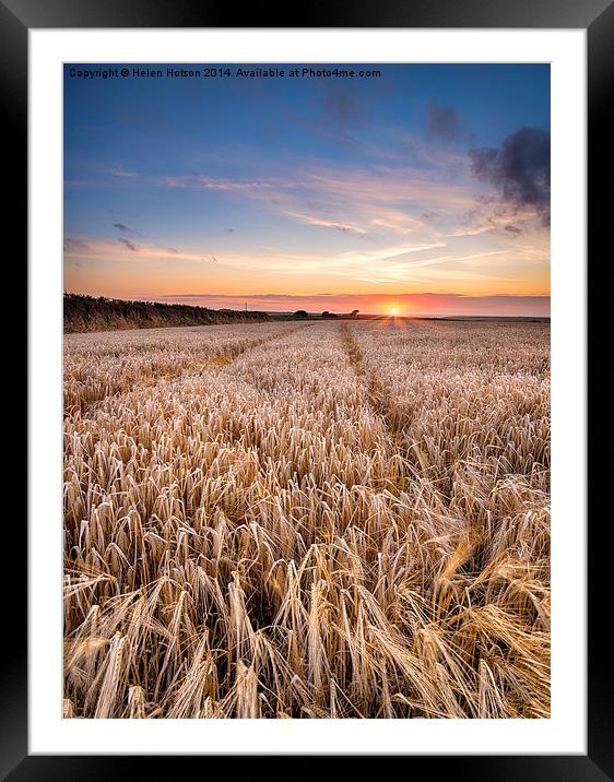 Barley Field at sunset in the Cornish Countryside Framed Mounted Print by Helen Hotson