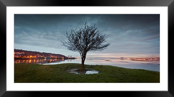  Penclawdd tree Framed Mounted Print by Leighton Collins