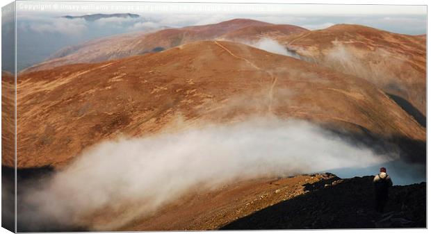  From Helvellyn Canvas Print by Linsey Williams