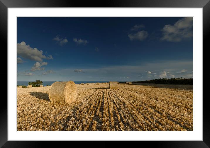  Harvest View Framed Mounted Print by Richard Taylor