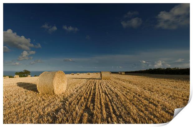 Harvest View Print by Richard Taylor