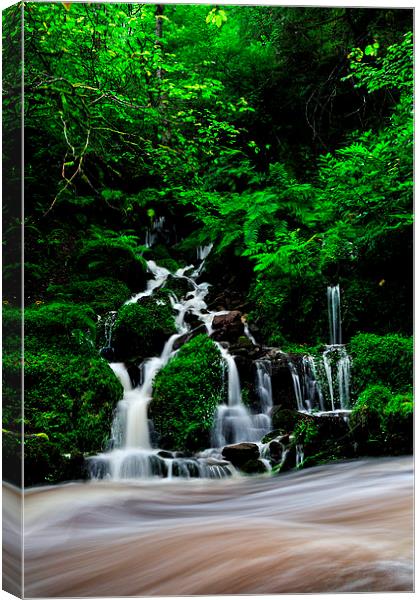  Waterfall at Reelig Canvas Print by Macrae Images