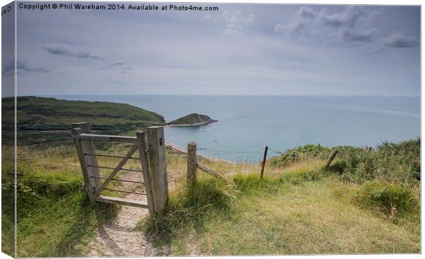 Worbarrow Bay from the Top Canvas Print by Phil Wareham