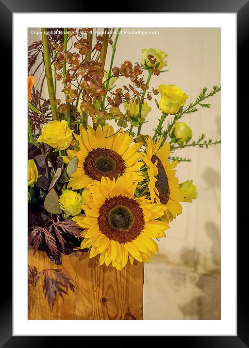  Sunflower arrangement Framed Mounted Print by Brian Fry