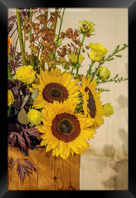  Sunflower arrangement Framed Print by Brian Fry