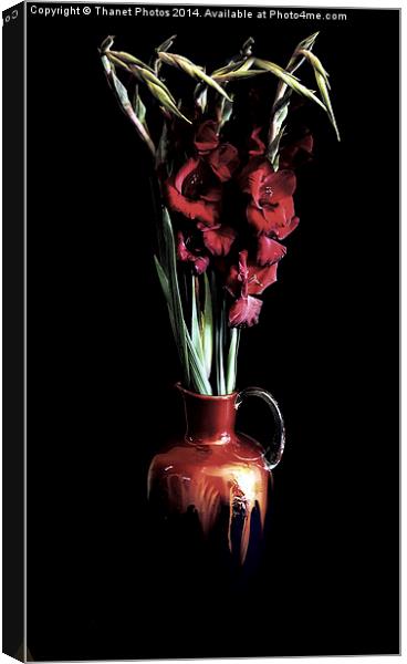 Stunning Red Gladiola flowers in a beautiful jug Canvas Print by Thanet Photos