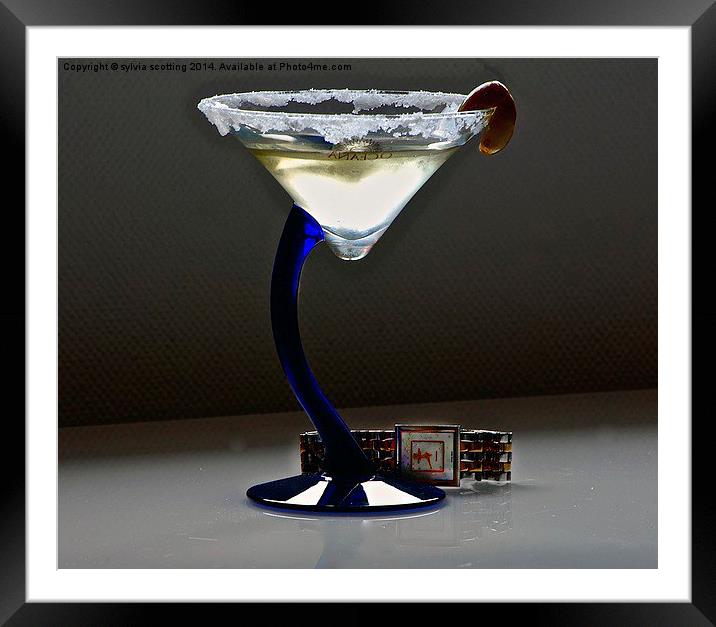  Time for cocktails  Framed Mounted Print by sylvia scotting