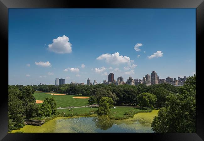  Central Park View Framed Print by Kieran Brimson
