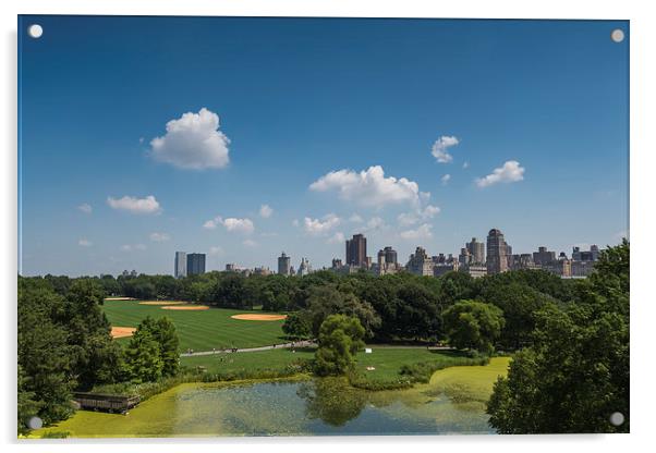  Central Park View Acrylic by Kieran Brimson