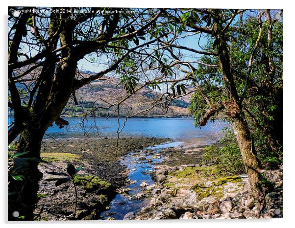 Loch Goil Argyll  Acrylic by Lynn Bolt