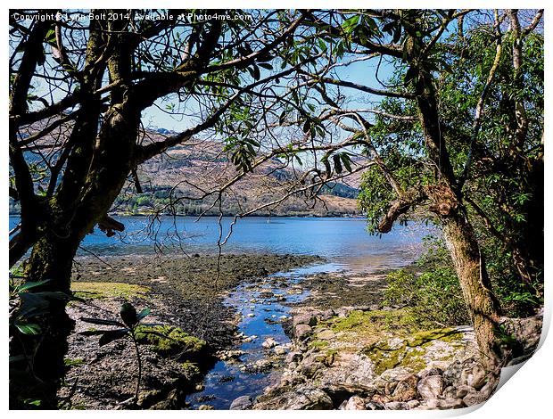 Loch Goil Argyll  Print by Lynn Bolt