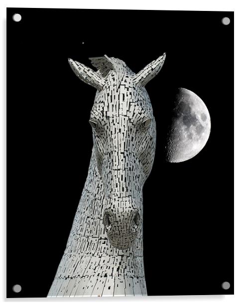  Lunar Kelpie Acrylic by Stuart Jack