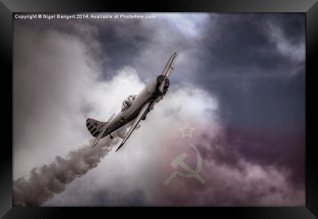  Russian Yak 50 Framed Print by Nigel Bangert