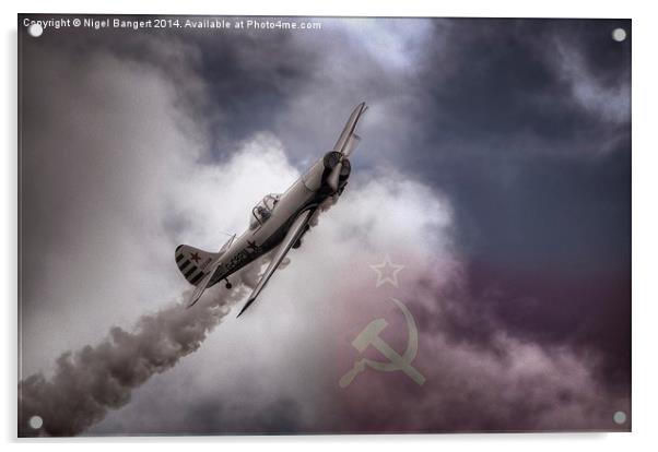  Russian Yak 50 Acrylic by Nigel Bangert