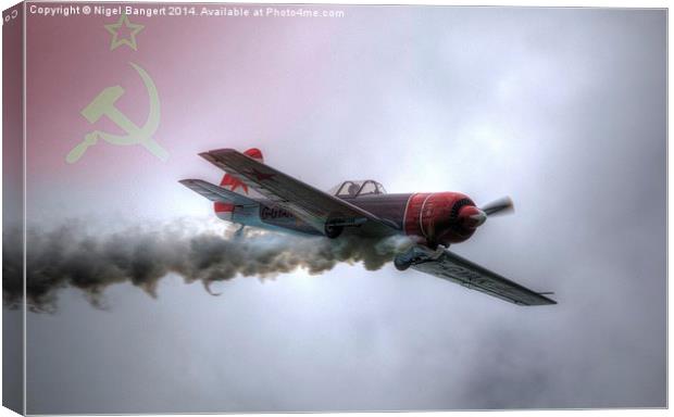 Russian Yak 50 Canvas Print by Nigel Bangert