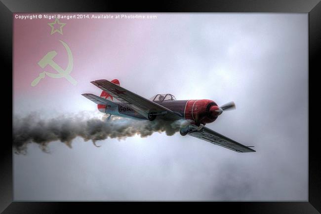 Russian Yak 50 Framed Print by Nigel Bangert