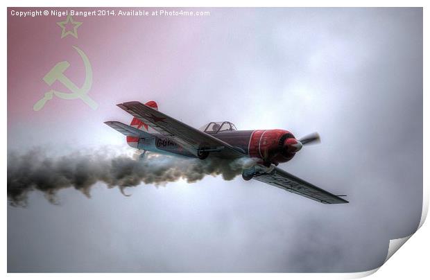 Russian Yak 50 Print by Nigel Bangert