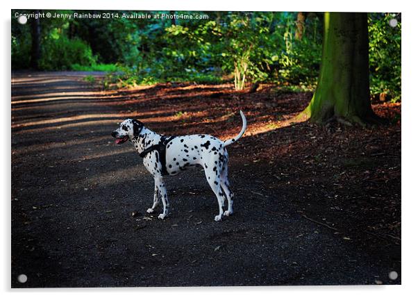  Alone in the Woods. Kokkie. Dalmatian Dog  Acrylic by Jenny Rainbow