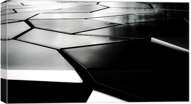  Black and White Abstracts Canvas Print by Graham Beerling