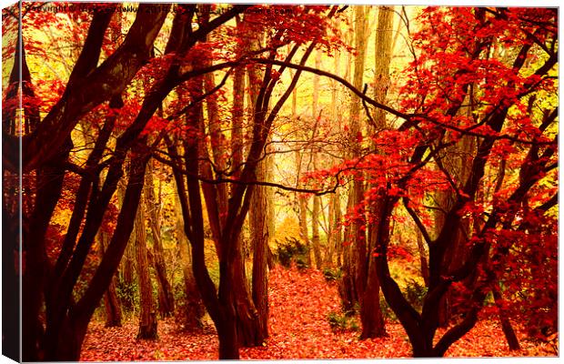  Natures Red Carpet Canvas Print by Nick Wardekker