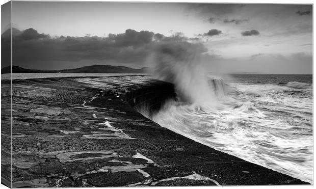  Stormy Cobb Canvas Print by Richard Taylor