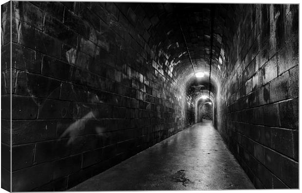  Tunnel Canvas Print by Richard Taylor