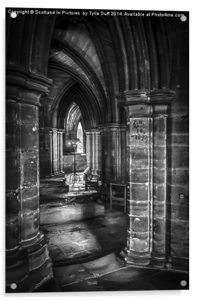  Cloisters at Glasgow Cathedral Scotland Acrylic by Tylie Duff Photo Art