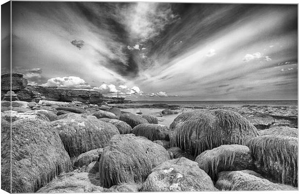  Portland Bill at low tide (in mono) Canvas Print by Mark Godden