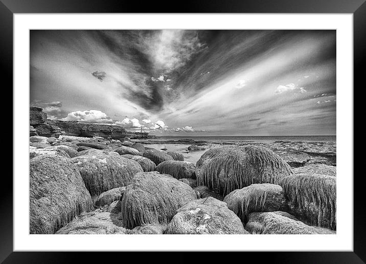  Portland Bill at low tide (in mono) Framed Mounted Print by Mark Godden