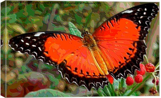  Red,black,white Butterfly Canvas Print by Paula Palmer canvas