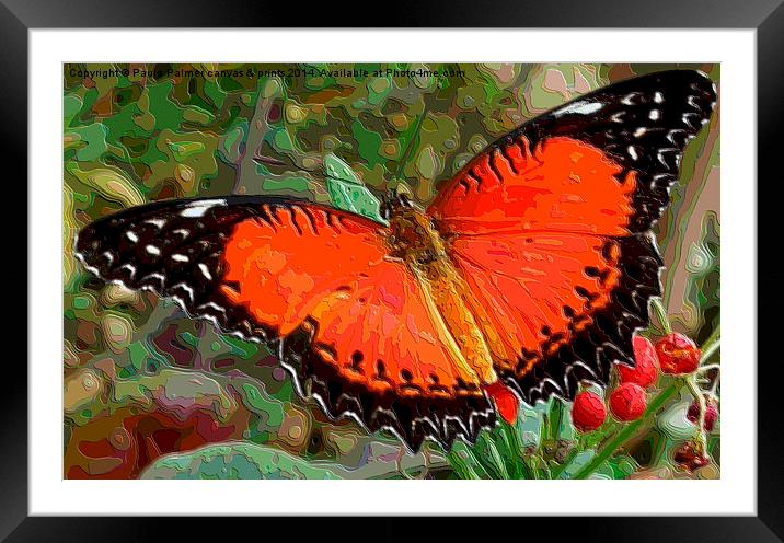  Red,black,white Butterfly Framed Mounted Print by Paula Palmer canvas