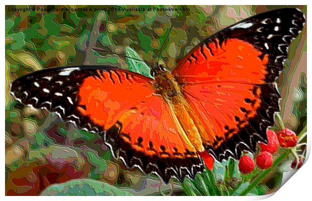  Red,black,white Butterfly Print by Paula Palmer canvas