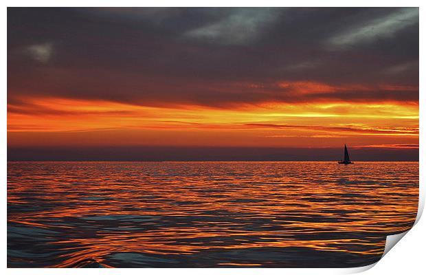  Sunset Sailing Print by Debra Farrey