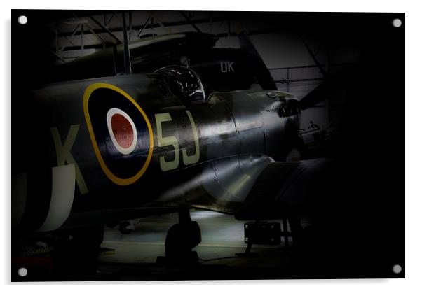 Spitfire MK356   Acrylic by J Biggadike