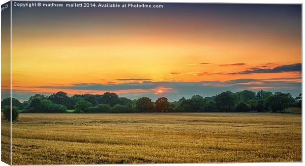  Sunset over an Essex Field Canvas Print by matthew  mallett