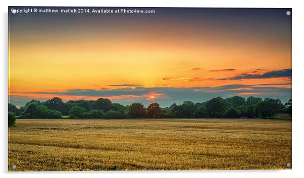  Sunset over an Essex Field Acrylic by matthew  mallett