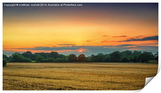  Sunset over an Essex Field Print by matthew  mallett