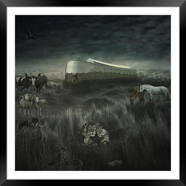  The ark Framed Mounted Print by pricope bogdan