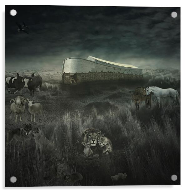  The ark Acrylic by pricope bogdan