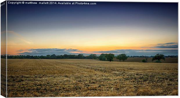  Simple view over the fields Canvas Print by matthew  mallett