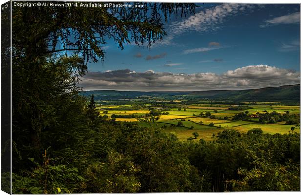 Yorkshire Tranquility Canvas Print by Ali Brown